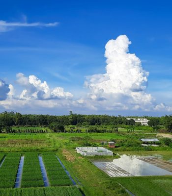 abdullah-al-jobair-5MWXCFi7LHY-unsplash